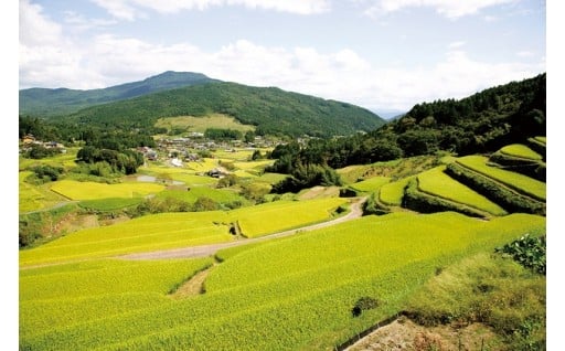 中野方町を応援　地域ががんばるまちづくり活動