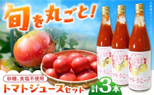石川農園 みんなで飲もっか！トマトジュースセットＥ / 完熟トマト とまと 健康 美肌 ビタミン セット 食べ比べ 野菜 やさい とまと 健康 美容 ギフト贈答 プレゼント 岐阜県産 恵那市産 とまと / 恵那市 / クリエイティブファーマーズ [AUAH003]