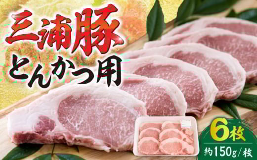 三浦豚 豚肉 ロース900ｇ（ステーキ / とんかつ用） / ブランド豚 国産 ポーク とんかつ にく 肉 お肉 豚肉 ぶたにく 国産 ポーク 大容量 焼き肉 焼肉 バーベキュー BBQ 産地直送 送料無料 お取り寄せ 贈答 ギフト プレゼント 岐阜県産 恵那市産 / 恵那市 / あづま精肉店 [AUDL002]
