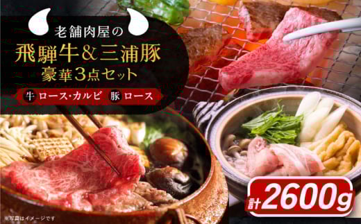 牛肉 飛騨牛ロース1kg カルビ700g 三浦豚ロース900g 豪華3点セット 各種類1パック しゃぶしゃぶ・焼肉 和牛 国産 霜降り 恵那市 / 岩島屋 [AUAJ014]