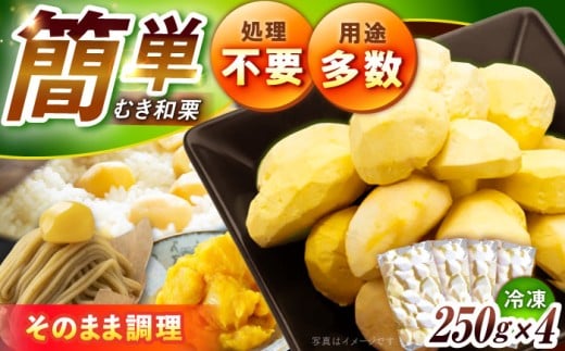 【2025年9月下旬から12月下旬に順次発送】冷凍むき栗「日本栗」 計1kg（250g×4P） / 栗 冷凍 生栗 くり むき栗 マロン 低温熟成 日本栗 国産 岐阜県産 恵那市産 産地直送 送料無料 お取り寄せ ギフト 贈答 プレゼント / 恵那市 / えな笠置山栗園 [AUAV003]