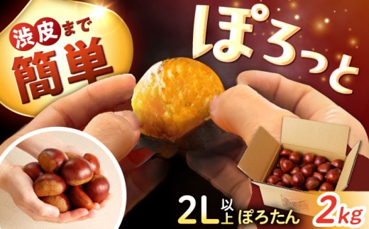 【先行予約】【2025年10月下旬より順次発送】岐阜県産栗「東美濃ぽろたん」 2kg / 栗 くり ぽろたん 生栗 大粒 栗きんとん モンブラン 栗ご飯 栗おこわ 焼き栗 和菓子 栗菓子 スイーツ デザート 下処理簡単 簡単 産地直送 名産 お取り寄せ 贈答 ギフト 人気 おすすめ 岐阜県産 恵那市産 岐阜県 送料無料 /恵那市/ 東美濃農業協同組合 [AUDS001]