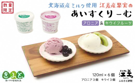 北海道産ミルク使用　江差産果実のアイスクリーム　アロニア＆キウイフルーツ【思いやり型返礼品】各120ml×3個（計6個）　「とろけるくちどけ　あふれるミルク感」