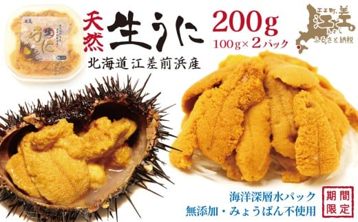 ＼2026年先行予約／北海道 江差前浜産 生うに 200g（100g×2パック）【無添加・みょうばん不使用】令和8年　江差産天然キタムラサキウニ　日本海熊石産海洋深層水　塩水ウニ　素材を生かした自然の味　国産うに　雲丹　100グラムパック個包装