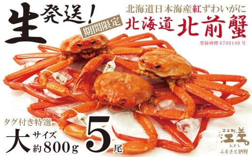 ＼早期予約・2026年3～4月限定出荷／生発送！【大5尾】『北海道北前蟹』タグ付き特選 約800g×5尾（冷蔵）　年にひと月だけの期間限定「生」出荷　北海道日本海産紅ずわいがに　カニかご漁師直販　厳格な鮮度管理　新鮮　甘くてジューシー　活カニ　生蟹　かに刺し　焼き蟹　蒸し蟹　かにみそ　かにしゃぶ　かに鍋　国産ベニズワイ