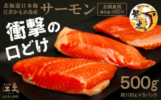＼配送時期指定可／北海道産 サーモン お刺身用ブロック 500g（100g×5P）　日本海 かもめ島海面養殖　純国産 ブランドサーモン『江さしっ子 繁虎』　衝撃の口どけ　とろける脂　生食可　冷凍　小分け　個包装　トラウトサーモン　刺身　サーモンステーキ　カルパッチョ　海鮮　鮭　さけ　シャケ　しゃけ　さーもん