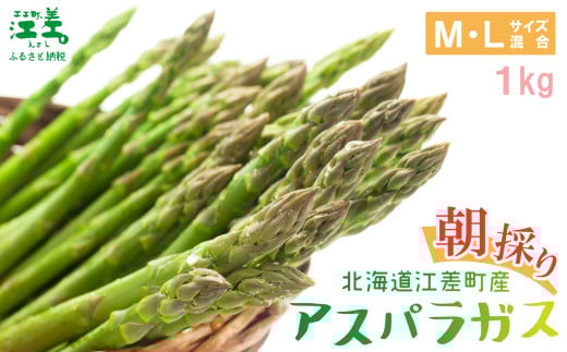 ＼春アスパラ 先行予約 2026年4月～順次出荷予定／北海道江差町産 アスパラガス【M～Lサイズ】 1kg　30～40本　朝採り　農家直送　新鮮　鮮度保持　北海道　旬野菜　グリーンアスパラ　アスパラ　ギフト　贈答