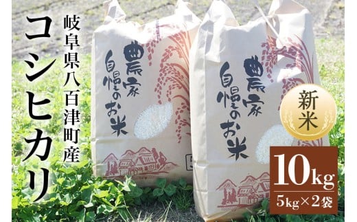 米【令和7年度米】八百津町産コシヒカリ！ 10kg　数量限定(459)