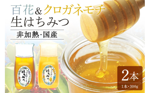 農林水産大臣賞・東海農政局長賞受賞!! 使いやすいプラ容器入り 非加熱生はちみつ 百花 クロガネモチ 各300g 計2本 純粋生はちみつ 食べ比べ (370)