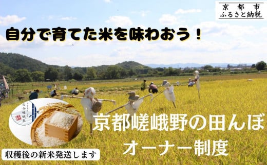 [京都嵯峨野]田んぼオーナー制度[アドプランツコーポレーション][ 京都 米 収穫 稲刈り体験 田植え 体験 人気 おすすめ 嵯峨野 有機栽培 ふるさと納税 ]
