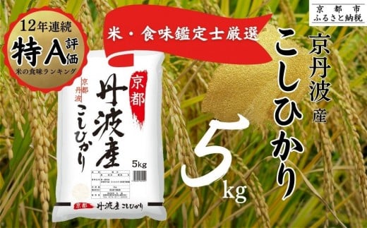 令和7年産 新米 京都丹波産 こしひかり 5kg ※米食味鑑定士厳選 ※精米したてをお届け【京都伏見のお米問屋が精米】米 令和7年産 ※沖縄本島・離島への配送不可 ※2025年11月上旬頃より順次発送予定