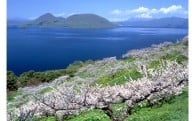 景観や環境の保全