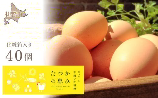 平飼い有精卵『たつかの恵み』 【 ふるさと納税 人気 おすすめ ランキング 卵 たまご タマゴ 生卵 新鮮 たまごかけご飯 目玉焼き ゆでたまご 卵焼き 北海道 壮瞥町 送料無料 】 SBTT011