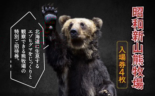 昭和新山熊牧場入場券4枚 【 ふるさと納税 人気 おすすめ ランキング チケット 入場券 昭和新山 熊牧場 熊 クマ くま エゾヒグマ ヒグマ 観光 北海道 壮瞥町 送料無料 】 SBTZ001
