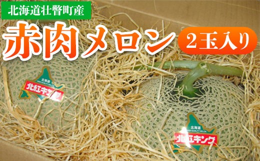 <2026年7月上旬よりお届け>北海道壮瞥産 赤肉メロン 2玉入り 【 ふるさと納税 人気 おすすめ ランキング 北海道 壮瞥 赤肉メロン  メロン 赤肉 産地直送 北海道メロン 果実 果物 旬 夏 季節商品 贈り物 贈物 贈答 ギフト 大容量 詰合せ セット 北海道 壮瞥町 送料無料 】 SBTA031