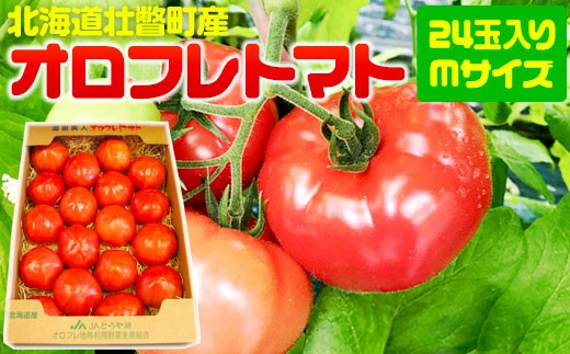 <2026年3月上旬より順次お届け>北海道壮瞥産 オロフレトマト24玉入り(Mサイズ) 【 ふるさと納税 人気 おすすめ ランキング 北海道 壮瞥 オロフレトマト 野菜 トマト 産地直送 季節商品 贈り物 贈物 贈答 ギフト 大容量 詰合せ セット 】 SBTA028