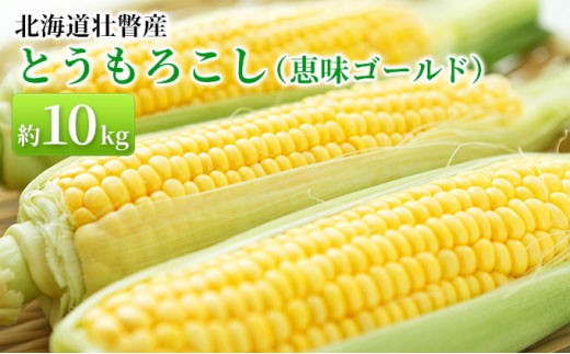 <2026年8月上旬より順次お届け>北海道壮瞥産 とうもろこし(恵味ゴールド)約10kg 【 ふるさと納税 人気 おすすめ ランキング 北海道 壮瞥 先行予約 とうもろこし トウモロコシ コーン とうきび 夏 野菜 恵味ゴールド 贈り物 贈物 贈答 ギフト 大容量 詰合せ セット 北海道 壮瞥町 送料無料 】SBTA032