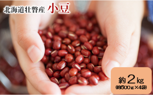 〈2025年11月中旬よりお届け〉北海道壮瞥産 小豆 約2kg(約500g×4袋)SBTA038