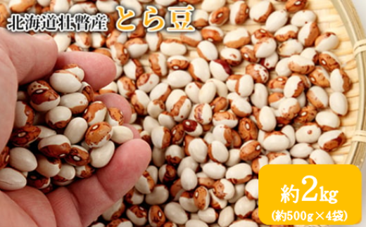 <2025年11月中旬よりお届け>北海道壮瞥産 とら豆 約2kg(約500g×4袋)SBTA039