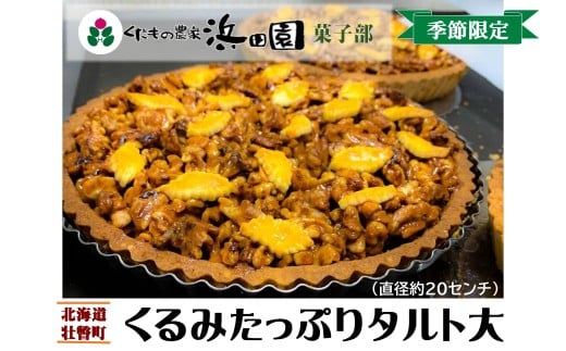 <2025年12月10日頃よりお届け>くるみたっぷりタルト大(直径約20cm)SBTI004