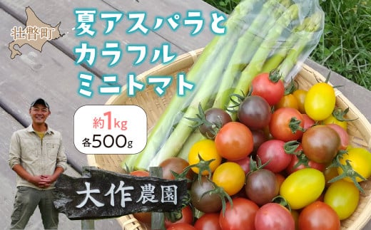 <2026年7月上旬よりお届け>北海道壮瞥町産 大作農園「夏アスパラとカラフルミニトマト」のセット約1kg 先行予約【 ふるさと納税 人気 おすすめ ランキング アスパラ あすぱら トマト とまと ミニトマト 野菜 セット 北海道 壮瞥町 送料無料 】 SBTR004
