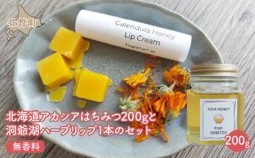 北海道アカシアはちみつ200gと洞爺湖ハーブリップ1本(無香料)のセット ふるさと納税 人気 おすすめ ランキング 加工食品 はちみつ 美容商品 化粧品 バーム リップクリーム カレンデュラ ハーブ 保湿 北海道 壮瞥町 送料無料 SBTX006-1
