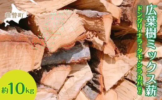 キャンプ・BBQにおすすめ！広葉樹 ミックス薪 約10kg（ドングリ・ナラ・タモ・シラカバなど）【 ふるさと納税 人気 おすすめ ランキング 薪 まき 暖炉 薪ストーブ キャンプファイヤー 焚火 北海道 壮瞥町 送料無料 】 SBTN007