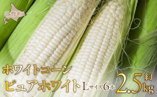 <2026年8月中旬よりお届け>【朝採り】北海道壮瞥町産 ホワイトコーン「ピュアホワイト」Lサイズ以上6本(約2.5kg)【 ふるさと納税 人気 おすすめ ランキング ホワイトコーン ピュアホワイト 白い 白 トウモロコシ とうもろこし 野菜 甘い 北海道 壮瞥町 送料無料 】 SBTQ004