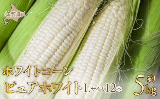＜2026年8月中旬よりお届け＞【朝採り】北海道壮瞥町 ホワイトコーン「ピュアホワイト」Lサイズ以上12本(約5kg)  【 ふるさと納税 人気 おすすめ ランキング ホワイトコーン ピュアホワイト 白い 白 トウモロコシ とうもろこし 野菜 甘い 北海道 壮瞥町 送料無料 】 SBTQ003