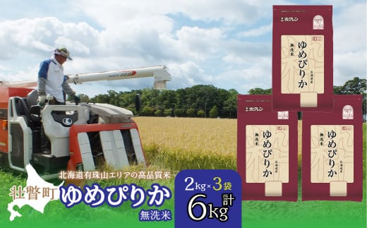 【令和7年産 】(無洗米6kg)ホクレンゆめぴりか(無洗米2kg×3袋) 【 ふるさと納税 人気 おすすめ ランキング 北海道産 壮瞥 無洗米 米 白米 ゆめぴりか 甘い おにぎり おむすび こめ 贈り物 贈物 贈答 ギフト 大容量 詰合せ セット 北海道 壮瞥町 送料無料 】 SBTD053