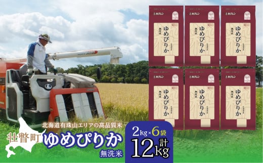 【令和7年産 】（無洗米12kg）ホクレンゆめぴりか（無洗米2kg×6袋） 【 ふるさと納税 人気 おすすめ ランキング 北海道産 壮瞥 無洗米 米 白米 ゆめぴりか 甘い おにぎり おむすび こめ 贈り物 贈物 贈答 ギフト 大容量 詰合せ セット 北海道 壮瞥町 送料無料 】 SBTD056