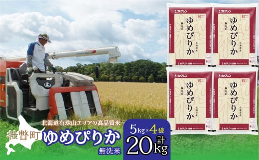 【令和7年産 】（無洗米20kg）ホクレンゆめぴりか（無洗米5kg×4袋） 【 ふるさと納税 人気 おすすめ ランキング 北海道産 壮瞥 無洗米 米 白米 ゆめぴりか 甘い おにぎり おむすび こめ 贈り物 贈物 贈答 ギフト 大容量 詰合せ セット 北海道 壮瞥町 送料無料 】 SBTD067
