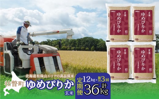 【令和7年産 隔月3回定期配送】（玄米12kg）ホクレンゆめぴりか（3kg×4袋） 【 ふるさと納税 人気 おすすめ ランキング 北海道産 米 こめ 玄米 げんまい ご飯 ごはん ゆめぴりか 定期便 北海道 壮瞥町 送料無料 】 SBTD077