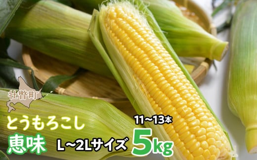 <2026年8月初旬よりお届け>約5kg!北海道壮瞥産とうもろこし(恵味)【L~2Lサイズ 11~13本】【 ふるさと納税 人気 おすすめ ランキング トウモロコシ とうもろこし 恵味 野菜 甘い 北海道 壮瞥町 送料無料 】 SBTP002