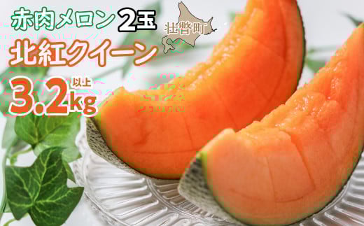 <2026年7月上旬よりお届け>北海道壮瞥産 赤肉メロン「北紅クイーン」2玉入り約3.2kg以上  【 ふるさと納税 人気 おすすめ ランキング メロン めろん 北紅クイーン 果物 甘い 赤肉 北海道 壮瞥町 送料無料 】 SBTP004