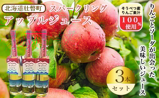 スパークリングアップルジュース3本セット ※そうべつ産りんご100%使用 ふるさと納税 人気 おすすめ ランキング 北海道 壮瞥 りんご アップル ジュース スパークリング 果汁 100% 炭酸 飲料水 飲み物 贈り物 贈物 贈答 ギフト 大容量 詰合せ セット 北海道 壮瞥町 送料無料 SBTA014