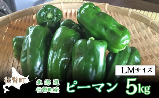 <2026年7月下旬よりお届け>北海道壮瞥町産 ピーマン 約5kg 【 ふるさと納税 人気 おすすめ ランキング ピーマン ぴーまん 野菜 肉厚 食べやすい おいしい サラダ バーベキュー 肉詰め 北海道 壮瞥町 送料無料 】 SBTL014
