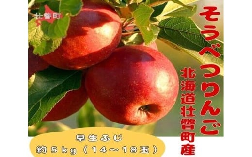 ファームアグリエイトのりんご「早生ふじ」 約5kg（14～18玉） SBTB012