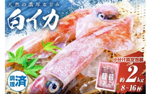 BBQに最適！ 白イカ（ケンサキイカ） 調理済み 正味2kg入り（8～16匹） ※小分け真空包装　UO01227