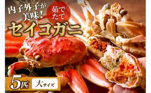 【蟹の匠 魚政】内子外子が美味! 茹でたて セイコガニ(セコ蟹)(香箱ガニ)(こっぺ)大サイズ 5匹セット ボイル せいこがに 5匹 冷蔵便 UO01382