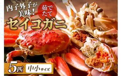 【蟹の匠 魚政】内子外子が美味! 茹でたて セイコガニ(セコ蟹)(香箱ガニ)(こっぺ)中小サイズ 5匹セット ボイル せいこがに 5匹 冷蔵便 UO01379
