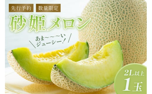 【先行予約/数量限定150】砂姫メロン1玉!大玉2L以上!女性に人気!(2026年6月下旬~発送)青肉メロン マスクメロン プリンスメロン JK00027