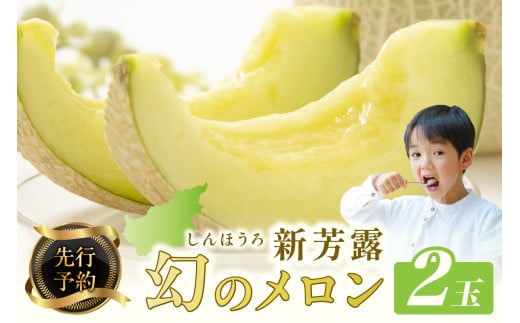 【先行予約】幻のメロン 新芳露 2玉(2026年7月下旬~発送) 国産 旬 メロン 希少メロン 先行予約 期間限定 フルーツ 贈答用 箱 BF00004