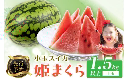 【先行予約】小玉スイカ 姫まくら 1玉(1.5kg以上)(2026年7月上旬~発送)小玉 こだま 西瓜 すいか 人気 フルーツ 果物  BF00007