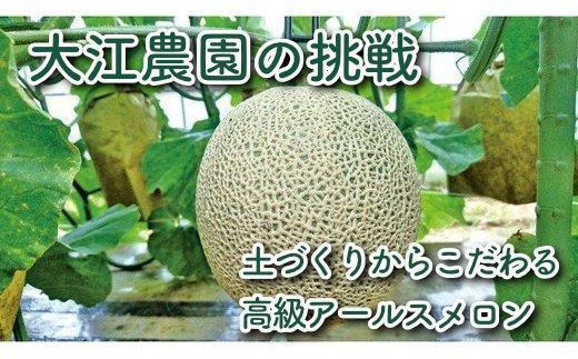 【先行予約/数量限定】京都丹後産 セリーヌメロン 1玉入り(2026年7月~発送)※マスクメロン(アールスメロン)系 国産 旬 アールスメロン めろん メロン 青肉 1玉 先行予約 期間限定 フルーツ くだもの 果物 AM00701