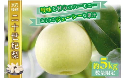 【先行予約／数量限定】京都丹後産 二十世紀梨 5kg（2026年9月上旬～発送）　AM00700