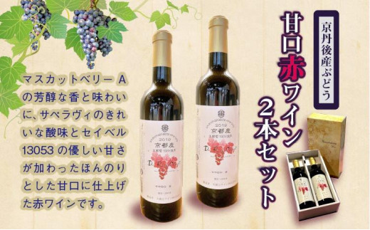 【天橋立ワイン】日本ワインコンクール受賞のワイナリーからお届け/京丹後産ぶどうを醸造した甘口の赤ワイン 720ml×2本セット 天橋立ワイナリー 飲料 アルコール ワイン 赤ワイン 葡萄 ぶどう ブドウ セット 贈り物 贈答 贈答用 ドイツ式 イタリアン AW00010