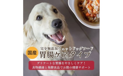 【国産ドッグフード】野菜と鹿肉ドッグフード[無添加ウェットドッグフード] 胃腸ケアタイプ (5パック)　ウェットドッグフード／無添加／ペットケア／ペットフード／ドッグフード 国産／犬／犬のエサ／餌　IC00020