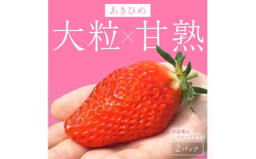 【京丹後産いちご章姫】農園直送便！新鮮大粒いちご 2パック ギフト箱入り／北畿水産　HK00159