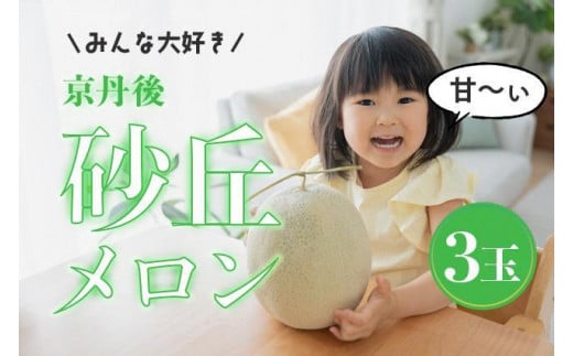 【先行予約】みんな大好き甘~ぃ!京丹後砂丘めろん! 3玉(2026年7月下旬~発送) YK00531